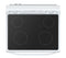6.3 cu. ft. 4-Element Freestanding Electric Range with Steam Cleaning