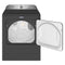 Pet Pro Top Load Gas Dryer - 7.0 Cu. Ft.