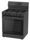 6.1 cu. ft. 4-Burner Freestanding Gas Range with Steam Cleaning