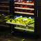 24-In Built-In High-Efficiency Dual Zone Wine Refrigerator