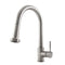 Monet Pull Down Single Handle Kitchen Faucet In Brushed Nickel