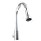 Monet Pull Down Single Handle Kitchen Faucet In Chrome