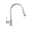 Monet Pull Down Single Handle Kitchen Faucet In Chrome