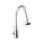 Monet Pull Down Single Handle Kitchen Faucet In Chrome
