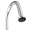 Monet Pull Down Single Handle Kitchen Faucet In Chrome