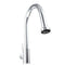 Monet Pull Down Single Handle Kitchen Faucet In Chrome