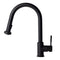 Autograph Edition Monet Pull Down Single Handle Kitchen Faucet In Matte Black