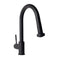 Autograph Edition Monet Pull Down Single Handle Kitchen Faucet In Matte Black
