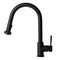 Autograph Edition Monet Pull Down Single Handle Kitchen Faucet In Matte Black
