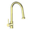 Autograph Edition Monet Pull Down Single Handle Kitchen Faucet In Polished Gold