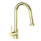 Autograph Edition Monet Pull Down Single Handle Kitchen Faucet In Polished Gold