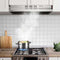 30" 200 CFM Convertible Under-the-Cabinet Range Hood