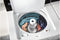 Commercial-Grade Residential Agitator Washer - 3.5 cu. ft.