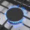 500 Series Gas Cooktop 30'' Stainless steel