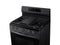 Freestanding Gas Range