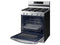 Freestanding Gas Range