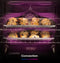 Ge Profile™ Energy Star® 30" Smart Slide-in Induction And Convection Range With No Preheat Air Fry And Easywash™ Oven Tray