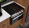 Ge Profile™ 17" Drop-in Rv Gas Range