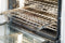 Professional Steam Convection 30"Professional Steam Convection 30''
