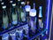 24" Black Stainless Single Zone Beverage Cooler