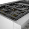 Dual Fuel Professional Range 48'' Pro Grand® Commercial Depth