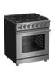 30" Stainless Steel Pro-Style Dual Fuel Range