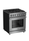 30" Stainless Steel Pro-Style Dual Fuel Range