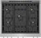 Gas Professional Range 30'' Pro Harmony® Standard Depth