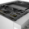 Gas Professional Range 36" Pro Grand Commercial Depth