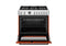 36 inch Dual Fuel Range, 6 Brass Burners and Cast Iron Griddle, Electric Self-Clean Oven