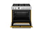 36 inch Dual Fuel Range, 6 Brass Burners and Cast Iron Griddle, Electric Self-Clean Oven