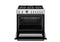 36 inch Dual Fuel Range, 6 Brass Burners and Cast Iron Griddle, Electric Self-Clean Oven