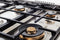 48 inch All-Gas Range 6 Brass Burner and Griddle