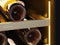 15" 15″ Single Zone Wine Cooler