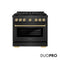 Autograph Edition 36 In. 5.2 Cu. Ft. Paramount Dual Fuel Range With 6 Burner Duopro™ Cooktop And Electric Convection Oven In Black Satin Stainless Steel And Champagne Bronze Accents