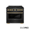 Autograph Edition 36 In. 5.2 Cu. Ft. Paramount Dual Fuel Range With 6 Burner Duopro™ Cooktop And Electric Convection Oven In Black Satin Stainless Steel And Polished Gold Accents