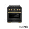 Autograph Edition 30 In. 4.2 Cu. Ft. Paramount Dual Fuel Range With 4 Burner Duopro™ Cooktop And Electric Convection Oven In Black Stainless Steel And Champagne Bronze Accents