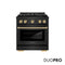 Autograph Edition 30 In. 4.2 Cu. Ft. Paramount Dual Fuel Range With 4 Burner Duopro™ Cooktop And Electric Convection Oven In Black Stainless Steel And Polished Gold Accents