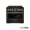 Autograph Edition 36 In. 5.2 Cu. Ft. Paramount Dual Fuel Range With 6 Burner Duopro™ Cooktop And Electric Convection Oven In Black Stainless Steel And Champagne Bronze Accents