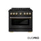 Autograph Edition 36 In. 5.2 Cu. Ft. Paramount Dual Fuel Range With 6 Burner Duopro™ Cooktop And Electric Convection Oven In Black Stainless Steel With Polished Gold Helix Handle And Accents