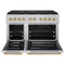 Autograph Edition 48 In. 6.7 Cu. Ft. Paramount Dual Fuel Range With 8 Burner Duopro™ Cooktop And Dual Ovens In Satin Stainless Steel And Polished Gold Accents