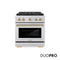 Autograph Edition 30 In. 4.2 Cu. Ft. Paramount Dual Fuel Range With 4 Burner Duopro™ Cooktop And Electric Convection Oven In Stainless Steel With Polished Gold Accents