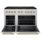 Autograph Edition 48 In. 6.7 Cu. Ft. Paramount Dual Fuel Range With 8 Burner Duopro™ Cooktop And Dual Ovens In Stainless Steel And Polished Gold Accents