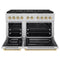 Autograph Edition 48 In. 6.7 Cu. Ft. Paramount Dual Fuel Range With 8 Burner Duopro™ Cooktop And Dual Ovens In Stainless Steel And Polished Gold Accents