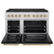 Autograph Edition 48 In. 6.7 Cu. Ft. Paramount Dual Fuel Range With 8 Burner Duopro™ Cooktop And Dual Ovens With Black Matte Doors And Polished Gold Accents