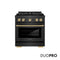 Autograph Edition 30 In. 4.2 Cu. Ft. Paramount Gas Range With 4 Burner Duopro™ Cooktop And Convection Gas Oven In Black Satin Stainless Steel And Champagne Bronze Accents