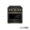 Autograph Edition 30 In. 4.2 Cu. Ft. Paramount Gas Range With 4 Burner Duopro™ Cooktop And Convection Gas Oven In Black Satin Stainless Steel And Polished Gold Accents
