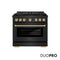 Autograph Edition 36 In. 5.2 Cu. Ft. Paramount Gas Range With 6 Burner Duopro™ Cooktop And Convection Gas Oven In Black Stainless Steel And Polished Gold Accents