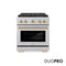Autograph Edition 30 In. 4.2 Cu. Ft. Paramount Gas Range With 4 Burner Duopro™ Cooktop And Convection Gas Oven In Satin Stainless Steel And Champagne Bronze Accents