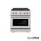Autograph Edition 30 In. 4.2 Cu. Ft. Paramount Gas Range With 4 Burner Duopro™ Cooktop And Convection Gas Oven In Satin Stainless Steel And Polished Gold Accents